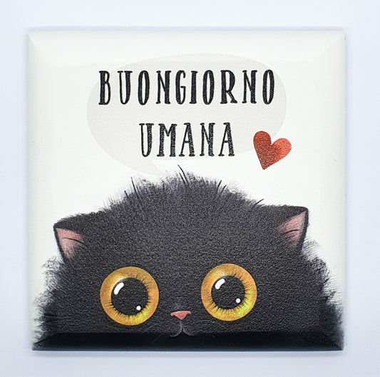Quadretto Black Cat Sweety "buongiorno Umana"